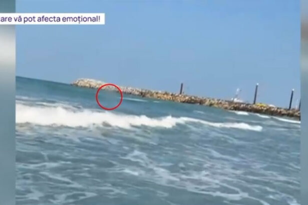 video tragedie evitata la limita cum a fost salvata de la moarte tanara abandonata de iubit in mijlocul valurilor la costinesti 6849944b48da7