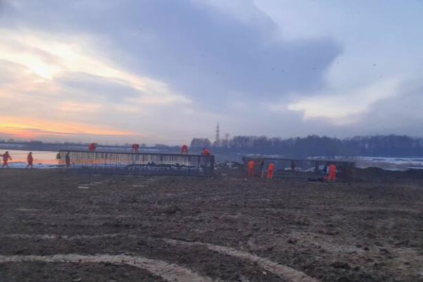 videofoto demonstratie de forta umbrarescu 684d71b44fd3f