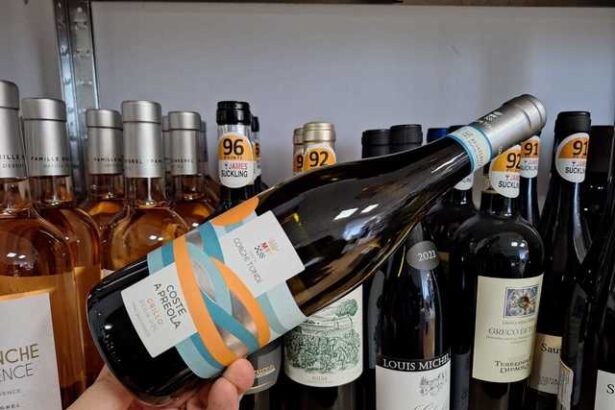 vinul zilei un alb organic obtinut din soiul grillo care surprinde esenta verii siciliene in cea mai pura si sincera forma a ei 683e9226df969