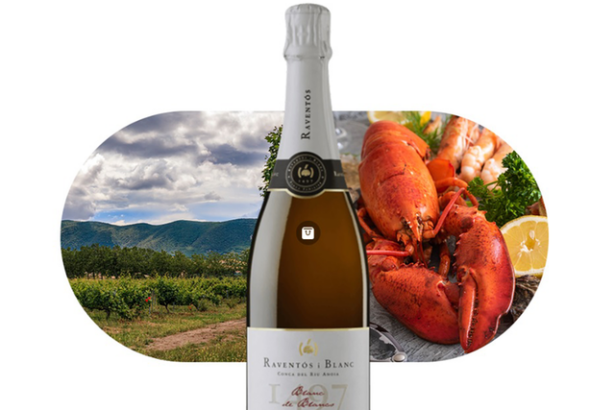 vinul zilei un spumant mediteraneean vibrant cu note de flori albe citrice si nuci savuros alaturi de fructe de mare peste tartar de somon preparate fine cu legume si branzeturi cotat cu 92 pu 68579ea1ab6f5