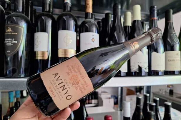 vinul zilei un spumant organic din penedes cu arome care te poarta cu gandul la o zi de vara petrecuta printre livezi si paduri poate insoti orice masa de la aperitive simple pana la peste sau fr 685b9322557d8