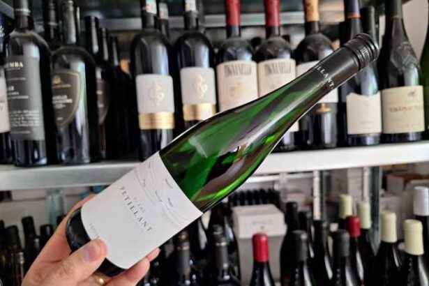 vinul zilei un vin de zi cu zi prietenos tonic si usor de baut cu note florale dominante urmate de arome de mere pere verzi grapefruit lamaie si piersica coapta 68491e17ec72e