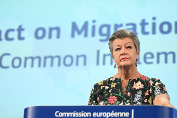 ylva johansson va fi noul reprezentant special al ue pentru ucrainenii din blocul comunitar 684b3d902949b