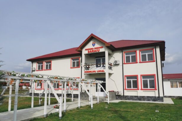 zece localitati din constanta vor ramane fara viceprimari din 2026 685a8ab3d4c89