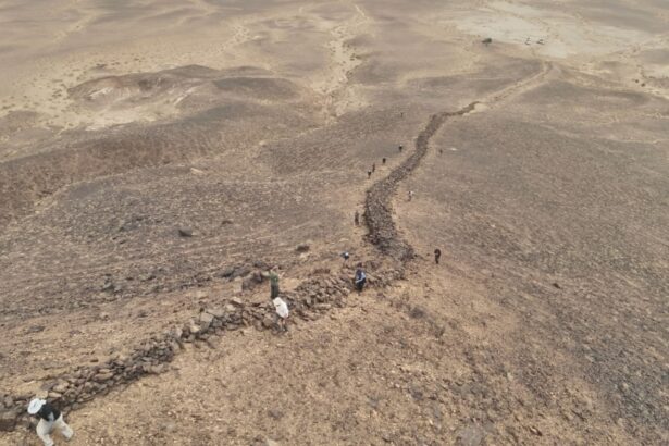zidul gobi o enigma medievala dezvaluita de arheologi 68430563d3a9d