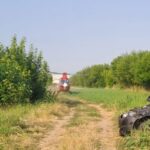 2 adulti si 2 copii au ajuns la spital in urma unui accident rutier produs in judetul ialomita 688729d3d61b2