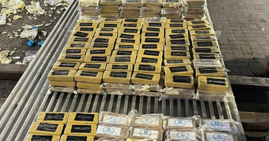 820 de kilograme de cocaina capturate la intrarea in rusia stupefiantele erau ascunse in containere cu banane 68781b1e64f52