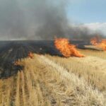 a luat foc vegetatia uscata de pe islazul localitatii castelu intervin pompierii constanteni 6877a4d42d892