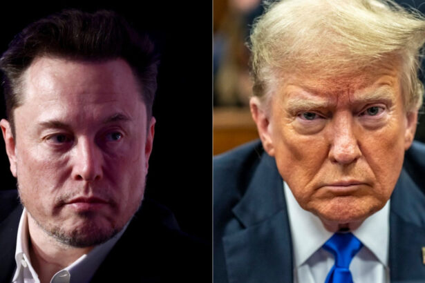analiza ce sanse are elon musk cu un nou partid politic dupa ce s a certat cu trump si care sunt riscurile pentru miliardar 686a86cb3781a