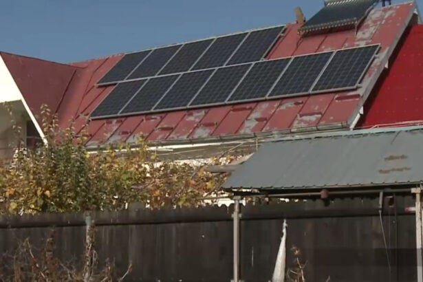 apce spune cum a fost salvata romania de la blackout la orele pranzului prosumatorii injecteaza in retele energie cat cne cernavoda 6886215d6efb7