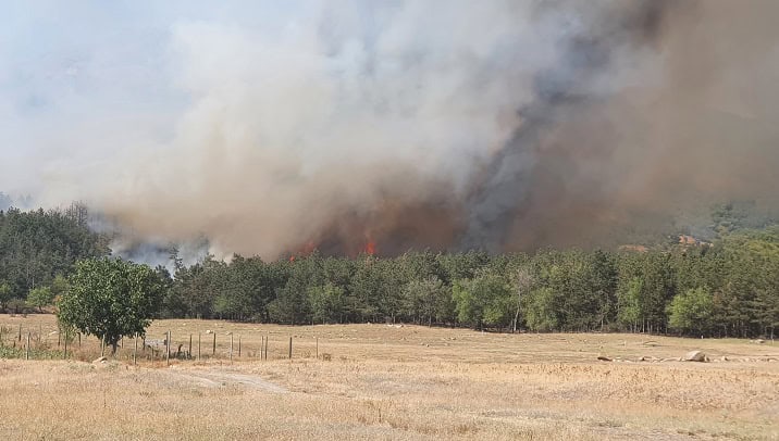 arde padurea in localitatea greci judetul tulcea intervin pompierii si un elicopter black hawk 6875d4c2335da