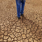 avertisment in premiera al curtii internationale de justitie asupra schimbarilor climatice o amenintare urgenta si existentiala 6881014ece4e8