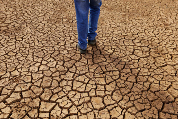 avertisment in premiera al curtii internationale de justitie asupra schimbarilor climatice o amenintare urgenta si existentiala 6881014ece4e8