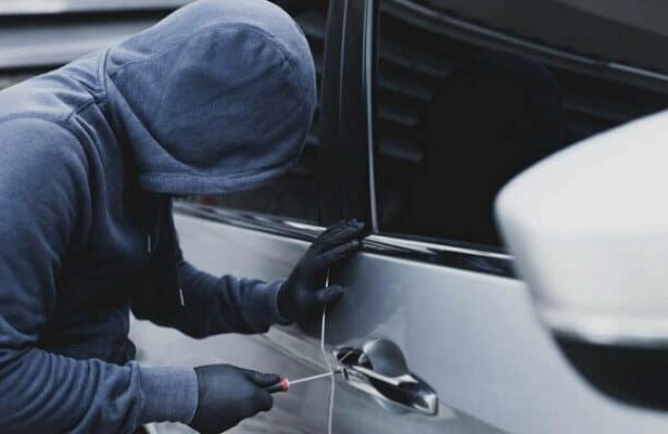 barbat arestat pentru furturi din autoturisme comise in mangalia 6880f4877187f