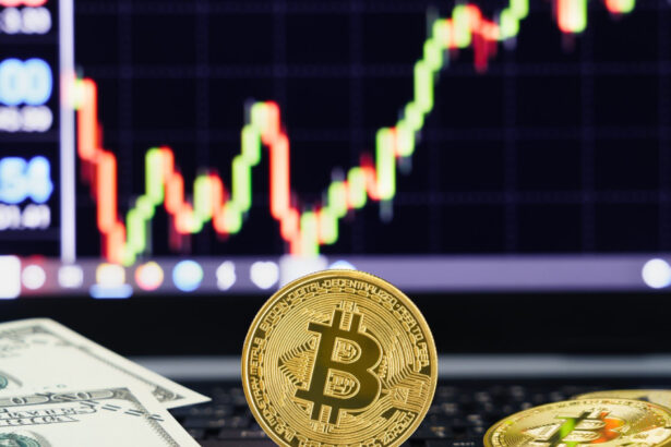 bitcoin atinge un nou record istoric pe ce pariaza investitorii in criptomonede 6875656c4e31d