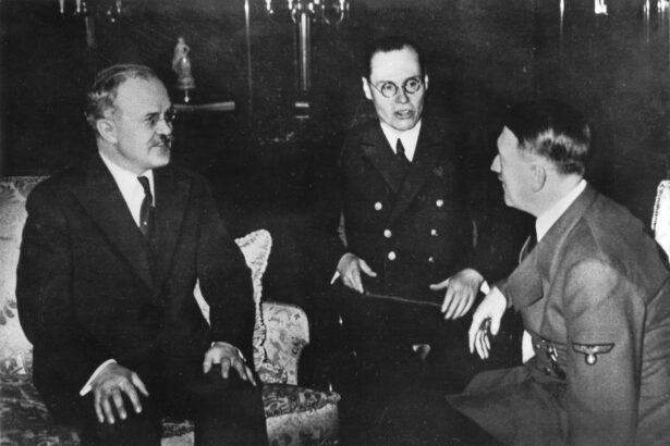 capcanele pe care hitler si stalin si le au intins reciproc 687b61939e9be