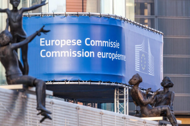 comisia europeana va prezenta statelor membre potentialele masuri de retorsiune la taxele vamale ale lui donald trump 6880e61cb2f6a