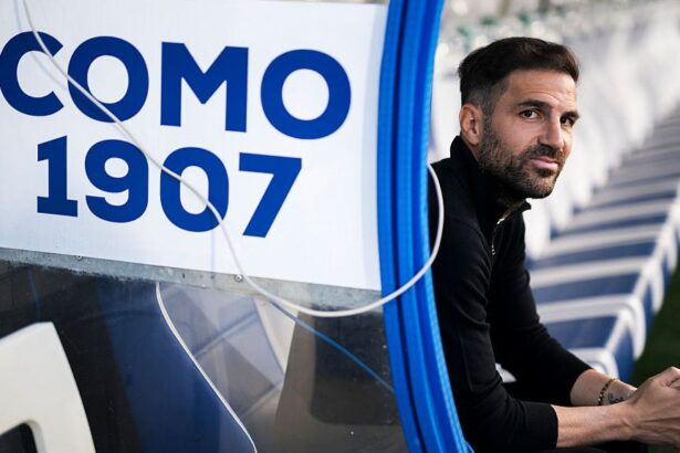 como un miliardario fabregas ataca topul din serie a cu micuta como 6863da04d25f3