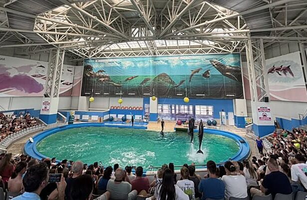constanta iata programul sectiilor complexului muzeal de stiinte ale naturii 6871ffd2b6d24