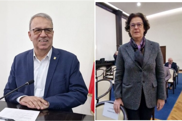 contre intre primarul vergil chitac si felicia ovanesian pe tema vanzarilor de terenuri propuse consiliului local bateti campii 688a0cfd9a43e