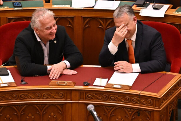 cum explica vicepremierul ungariei mesajul pro george simion al lui viktor orban in cateva secunde a existat o asezare a subiectului 68828b18f29b6