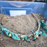 descoperiri arheologice exceptionale si unice pentru romania anuntate de muzeul national de istorie 686bd5e8dd20b