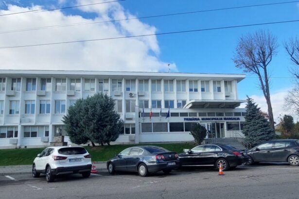 desi legea ii obliga consilierii locali din mangalia nu vor sa asigure cale de acces unor proprietari care au cumparat un teren fara deschidere 6868575d62e43