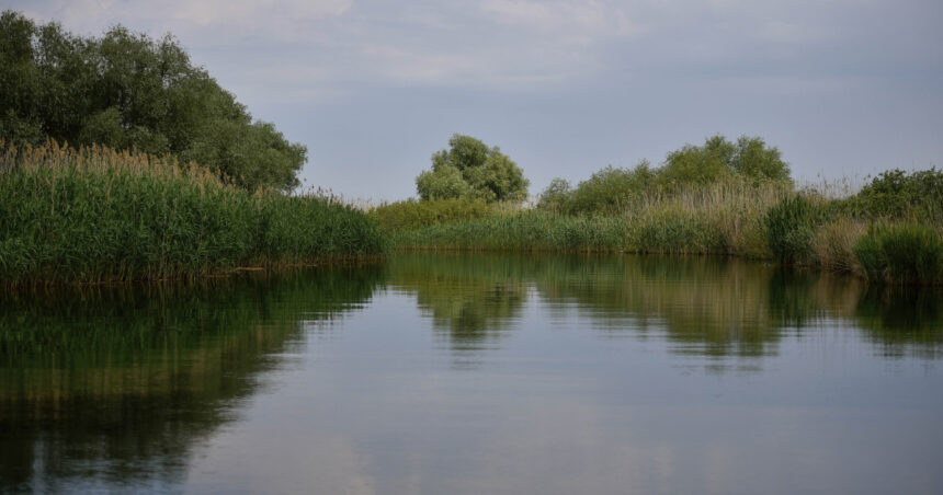 doi copii loviti de un ski jet in apele dunarii barbatul care il conducea consumase alcool iar politia a dechis o ancheta 687bccf1077ea