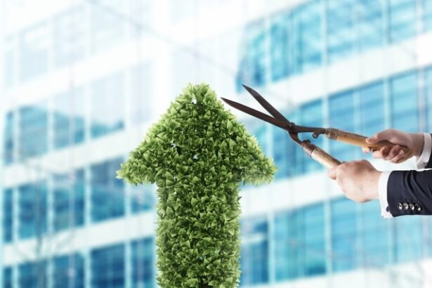 electrica intra in linie dreapta cu obligatiunile care ii vor finanta proiectele in regenerabile noile bonduri verzi ar urma sa aiba un rating bbb din partea fitch ce spune agentia de evaluare fina 6866a1302250e