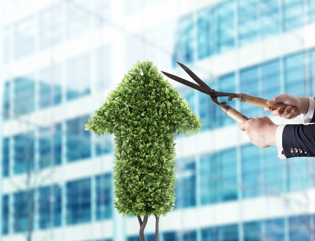 electrica intra in linie dreapta cu obligatiunile care ii vor finanta proiectele in regenerabile noile bonduri verzi ar urma sa aiba un rating bbb din partea fitch ce spune agentia de evaluare fina 6866a1302250e