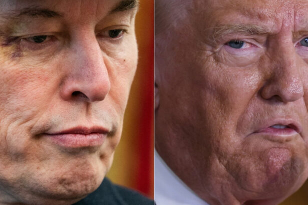 elon musk ameninta cu formarea unui nou partid daca congresul sua va aproba legea lui donald trump privind cheltuielilor interne 686370c0a5bfd
