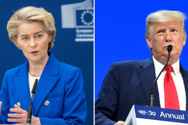 eurodeputatii critica acordul negociat de catre ursula von der leyen cu donald trump ambele parti trebuie sa castige ceva 68888b56434f2