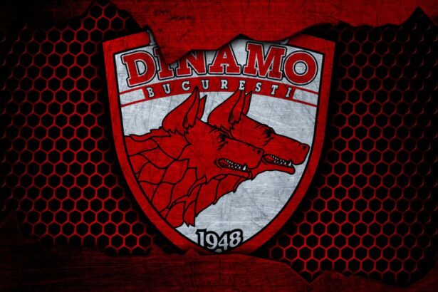 exclusiv schimbari la dinamo cum arata noua organigrama dupa iesirea din insolventa 99 dintre actionari au fost prezenti 6863f2227bec2