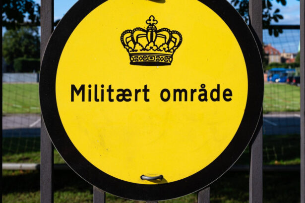 femeile daneze vor putea fi recrutate pentru serviciul militar prin tragere la sorti 6863fd588dbde