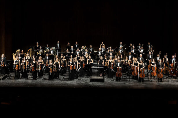 festivalul international george enescu si seas stagiunea estivala a artelor spectacolului stabilesc un parteneriat strategic pentru promovarea excelentei artistice la constanta 68748177a870b