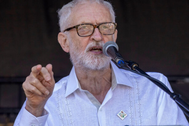 fostul lider al laburistilor britanici lanseaza un nou partid your party formatiunea politica a lui jeremy corbyn 688241d89593a