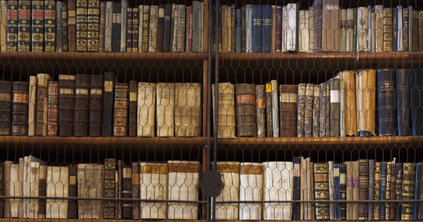 foto cea mai veche biblioteca din ungaria invadata de gandaci 100 000 de carti rare ar putea fi distruse masuri urgente de dezinsectie 6874f636b8d23