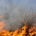 foto incendii la marginea ploiestiului doua cladiri distruse de flacari circulatie restrictionata pe dn1b spre buzau 68866081e644b
