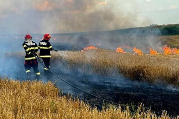 foto incendiile au facut prapad in arges sute de pomi fructiferi 4 autovehicule si mai multe anexe gospodaresti au ars 6886f71f09097