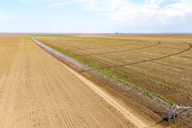 foto jd agro cocora a investit peste 2 milioane euro intr un sistem modern de irigatii 6865027be0da1