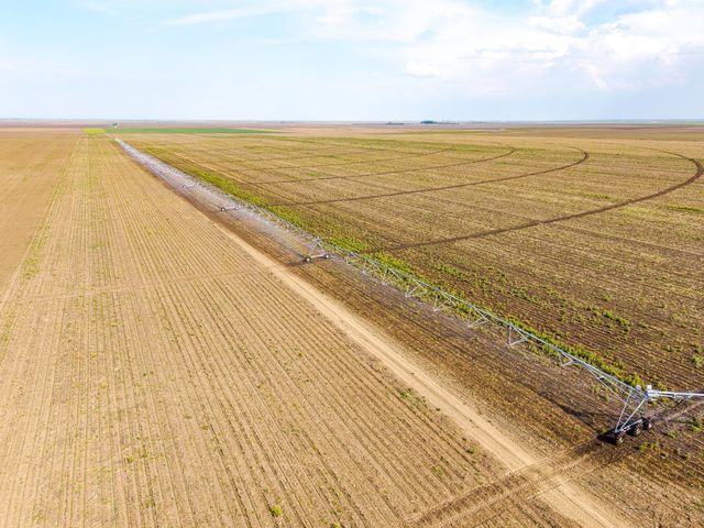 foto jd agro cocora a investit peste 2 milioane euro intr un sistem modern de irigatii 6865027be0da1