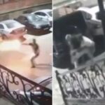 foto si video imagini de cosmar un cunoscut luptator mma ciuruit cu 5 gloante in plina strada totul a fost filmat 687930b7415c8