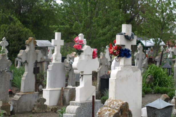 frauda de peste 13 milioane de lei cu monumente funerare la iasi 6863bd8268d57