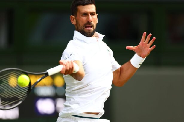 galerie foto djokovic sinner finala din semifinalele wimbledon 2025 avantajul clar avut de carlos alcaraz la castigarea trofeului 686eb9c4c66ee