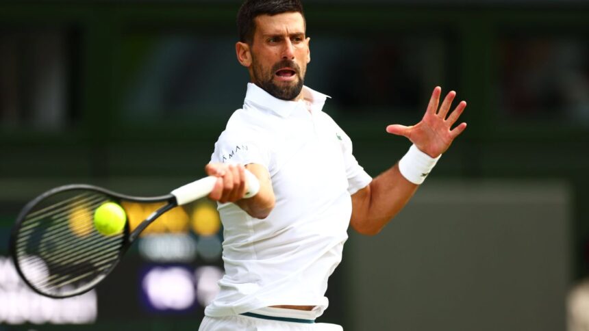 galerie foto djokovic sinner finala din semifinalele wimbledon 2025 avantajul clar avut de carlos alcaraz la castigarea trofeului 686eb9c4c66ee
