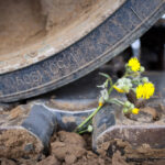 guvernatorul numit de moscova raporteaza ca rusia a ocupat intreaga regiune lugansk 68638ce760c56