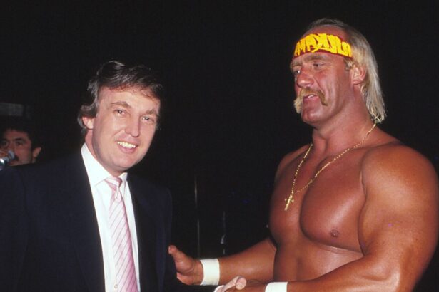 hulk hogan era un aprig sustinator al lui donald trump cum a reactionat presedintele sua dupa ce a murit legendarul wrestler 688341a09a5a2