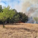 inca nu a fost stins incendiul de padure si vegetatie uscata din zona localitatii greci judetul tulcea 6876098702df7