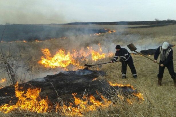 incendiu devastator in casian constanta primarita iacobici evacuati satul nu e de gluma update 6873f80dbbc0e