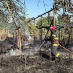 incendiu violent in localitatea bestepe judetul tulcea un barbat a ajuns la spital 6886729a7babc